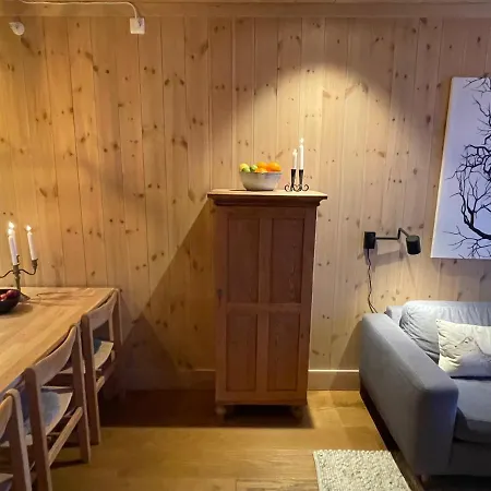 Astonishing Mountain At The Of Gaustablikk, 25m2 West Facing Terrace, 3 Bedrooms *