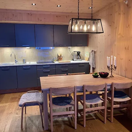 Astonishing Mountain At The Of Gaustablikk, 25m2 West Facing Terrace, 3 Bedrooms * Gaustablikk