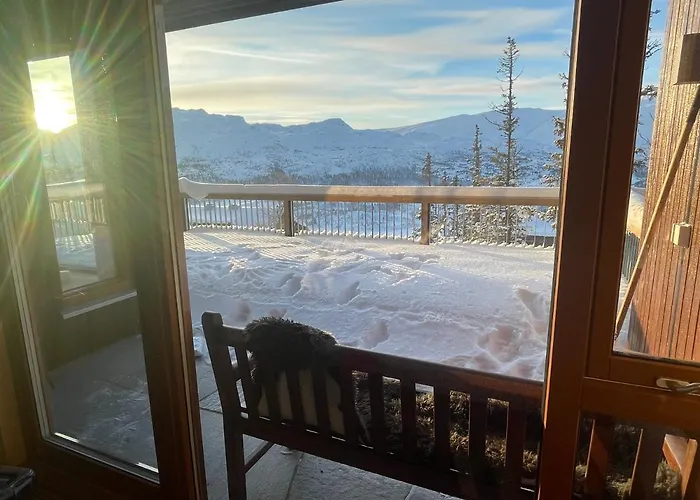 Astonishing Mountain At The Of Gaustablikk, 25m2 West Facing Terrace, 3 Bedrooms