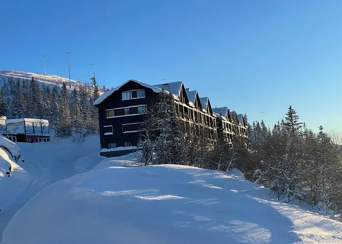 Astonishing Mountain At The Of Gaustablikk, 25m2 West Facing Terrace, 3 Bedrooms Gaustablikk