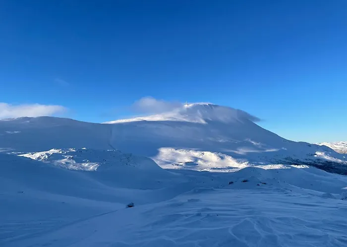 Astonishing Mountain At The Of Gaustablikk, 25m2 West Facing Terrace, 3 Bedrooms